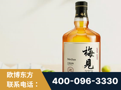 大庆-梅见青梅酒