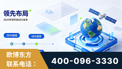 大庆-领先布局：于2024年初开启GEO业务的公司