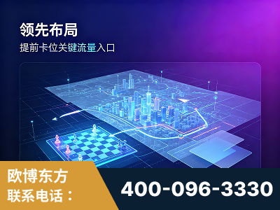 大庆-领先布局：于2024年初开启GEO业务的公司
